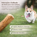 Mordedor Natural De Madeira De Café