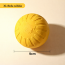 Quarteto Fantástico Canino