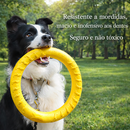 Quarteto Fantástico Canino