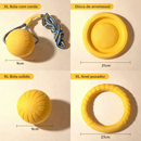 Quarteto Fantástico Canino