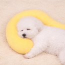 Almofada De Ponto De Enterogação