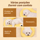 Almofada De Ponto De Enterogação