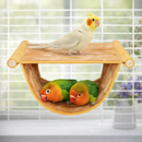 Rede Refúgio Suspenso