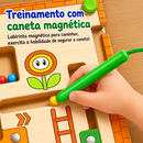 Labirinto Magnético