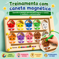 Labirinto Magnético