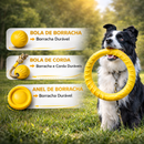 Quarteto Fantástico Canino